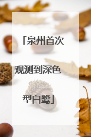 泉州首次观测到深色型白鹭