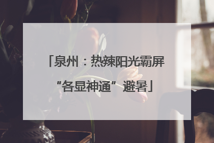 泉州：热辣阳光霸屏 “各显神通”避暑