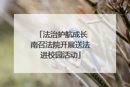 法治护航成长 南召法院开展送法进校园活动