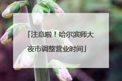 注意啦！哈尔滨师大夜市调整营业时间