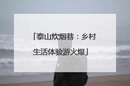 泰山炊烟巷：乡村生活体验游火爆