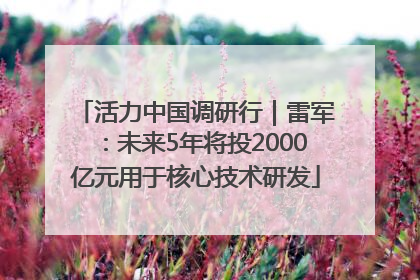 活力中国调研行｜雷军：未来5年将投2000亿元用于核心技术研发