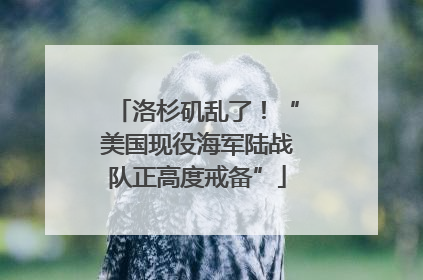 洛杉矶乱了！“美国现役海军陆战队正高度戒备”