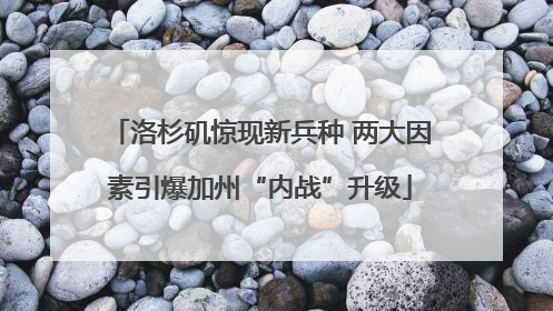 洛杉矶惊现新兵种 两大因素引爆加州“内战”升级
