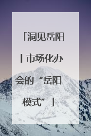 洞见岳阳丨市场化办会的“岳阳模式”