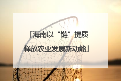 海南以“链”提质 释放农业发展新动能