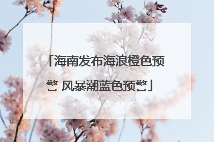 海南发布海浪橙色预警 风暴潮蓝色预警