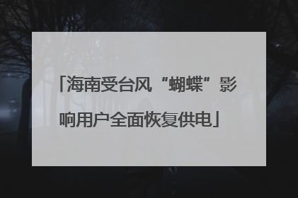 海南受台风“蝴蝶”影响用户全面恢复供电