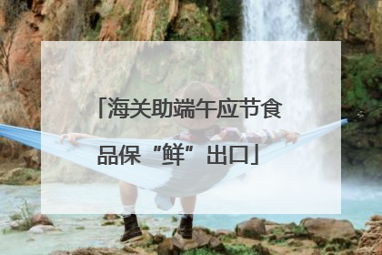 海关助端午应节食品保“鲜”出口