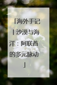 海外手记丨沙漠与海洋：阿联酋的多元脉动