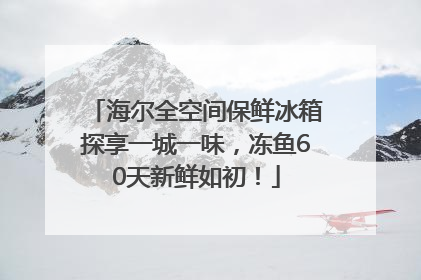 海尔全空间保鲜冰箱探享一城一味，冻鱼60天新鲜如初！