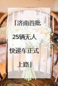 济南首批25辆无人快递车正式上路