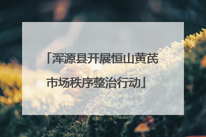 浑源县开展恒山黄芪市场秩序整治行动