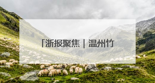 浙报聚焦｜温州竹编龙舟 一丝一竹编织愿景与期盼