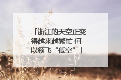 浙江的天空正变得越来越繁忙 何以领飞“低空”