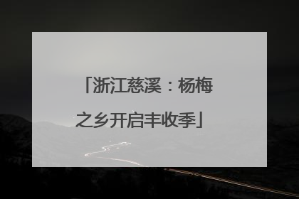 浙江慈溪：杨梅之乡开启丰收季