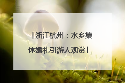 浙江杭州：水乡集体婚礼引游人观赏