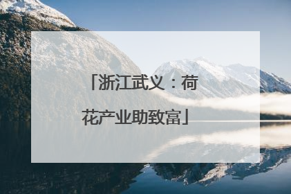 浙江武义：荷花产业助致富
