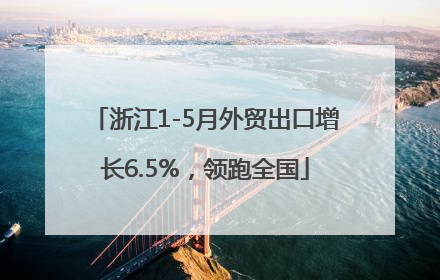 浙江1-5月外贸出口增长6.5%，领跑全国