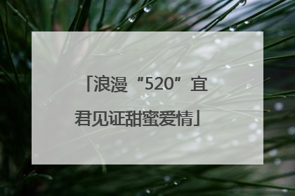 浪漫“520”宜君见证甜蜜爱情