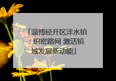 淄博经开区沣水镇：织密路网 激活镇域发展新动能