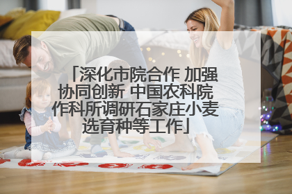 深化市院合作 加强协同创新 中国农科院作科所调研石家庄小麦选育种等工作