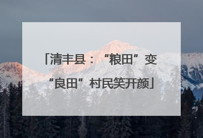 清丰县：“粮田”变“良田”村民笑开颜