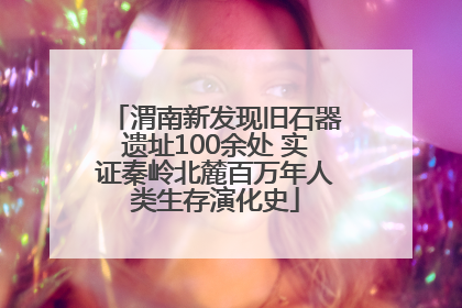 渭南新发现旧石器遗址100余处 实证秦岭北麓百万年人类生存演化史