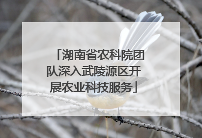 湖南省农科院团队深入武陵源区开展农业科技服务