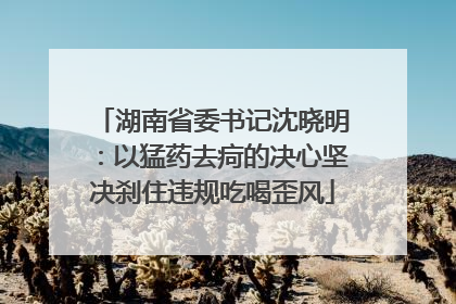 湖南省委书记沈晓明：以猛药去疴的决心坚决刹住违规吃喝歪风