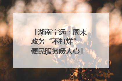 湖南宁远：周末政务“不打烊” 便民服务暖人心