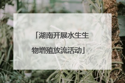 湖南开展水生生物增殖放流活动