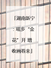 湖南新宁：瑶乡“金花”开 增收画卷来