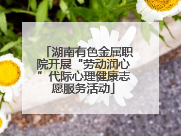 湖南有色金属职院开展“劳动润心”代际心理健康志愿服务活动
