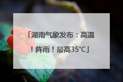 湖南气象发布：高温！阵雨！最高35℃