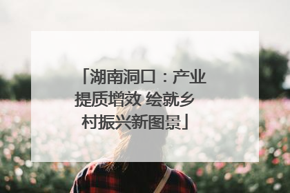 湖南洞口：产业提质增效 绘就乡村振兴新图景
