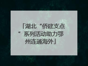 湖北“侨建支点”系列活动助力鄂州连通海外
