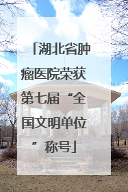 湖北省肿瘤医院荣获第七届“全国文明单位”称号