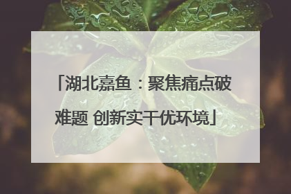 湖北嘉鱼：聚焦痛点破难题 创新实干优环境