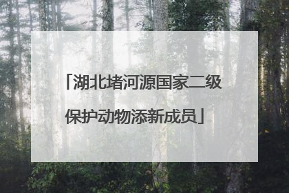 湖北堵河源国家二级保护动物添新成员