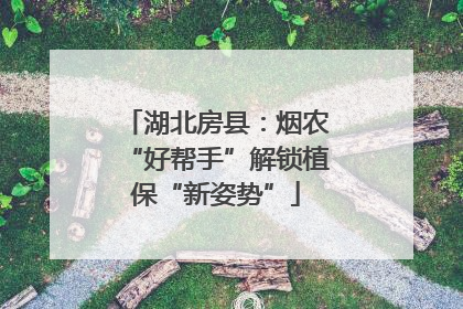 湖北房县：烟农“好帮手”解锁植保“新姿势”