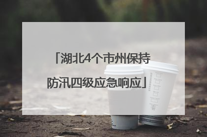 湖北4个市州保持防汛四级应急响应
