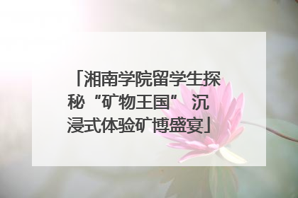 湘南学院留学生探秘“矿物王国” 沉浸式体验矿博盛宴