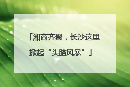 湘商齐聚，长沙这里掀起“头脑风暴”