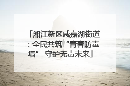 湘江新区咸嘉湖街道：全民共筑“青春防毒墙” 守护无毒未来