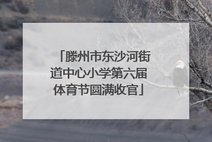 滕州市东沙河街道中心小学第六届体育节圆满收官
