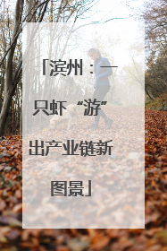 滨州：一只虾“游”出产业链新图景