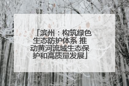 滨州：构筑绿色生态防护体系 推动黄河流域生态保护和高质量发展