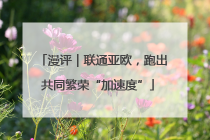 漫评｜联通亚欧，跑出共同繁荣“加速度”