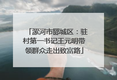 漯河市郾城区：驻村第一书记王元明带领群众走出致富路